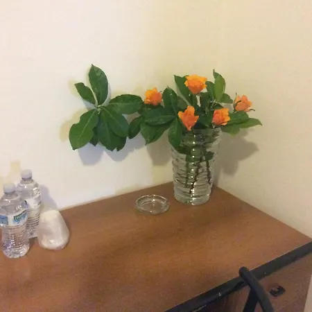 Hotel Triana E Tyche *