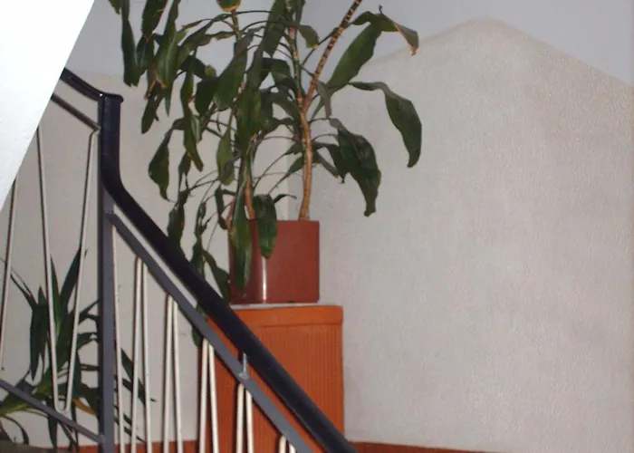 Triana E Tyche Sasso Marconi