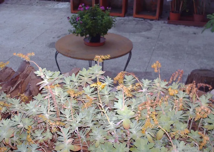 Hotel Triana E Tyche Sasso Marconi