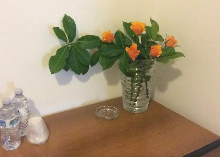 Hotel Triana E Tyche *